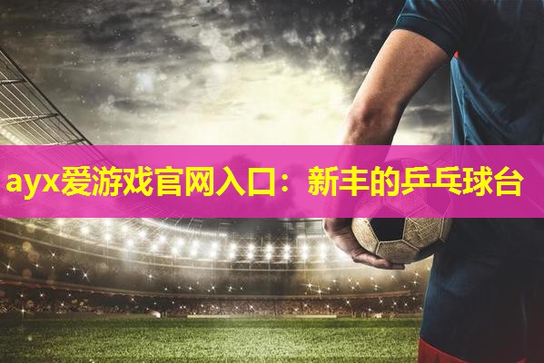 新丰的乒乓球台 新丰的乒乓球台
