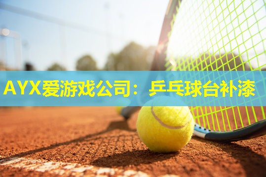 乒乓球台补漆 乒乓球台补漆