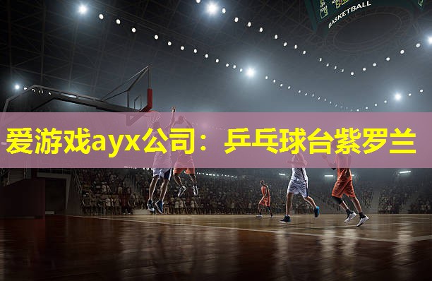 乒乓球台紫罗兰 乒乓球台紫罗兰