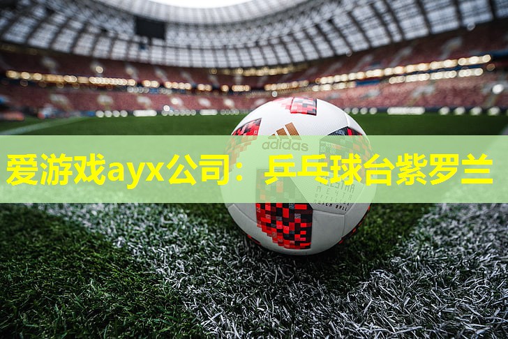 乒乓球台紫罗兰 乒乓球台紫罗兰