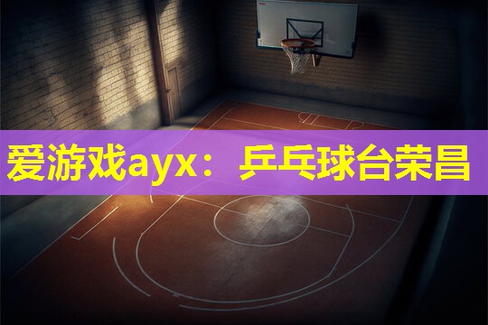 乒乓球台荣昌 乒乓球台荣昌