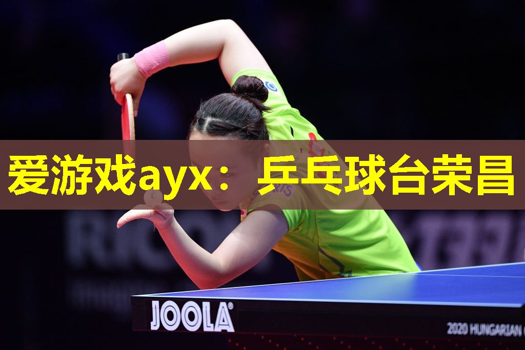 乒乓球台荣昌 乒乓球台荣昌