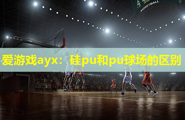 硅pu和pu球场的区别 硅pu和pu球场的区别