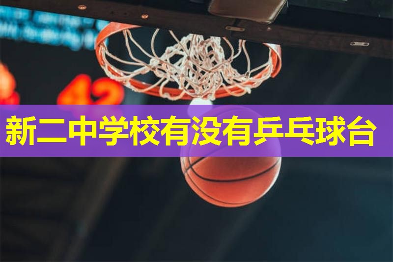 新二中学校有没有乒乓球台 新二中学校有没有乒乓球台