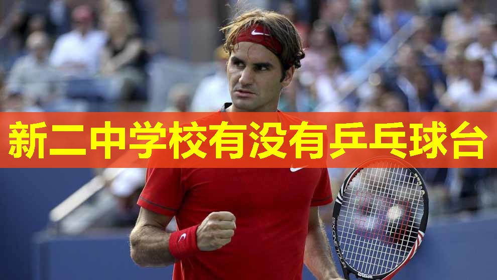 新二中学校有没有乒乓球台 新二中学校有没有乒乓球台