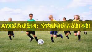 室内健身房养花好不好 室内健身房养花好不好