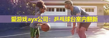 乒乓球台室内翻新 乒乓球台室内翻新