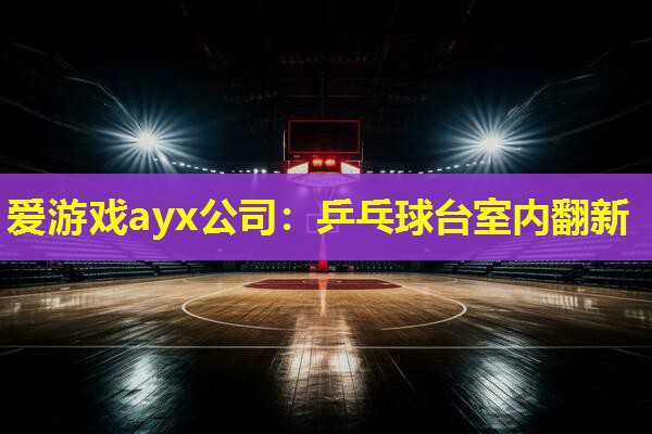 乒乓球台室内翻新 乒乓球台室内翻新