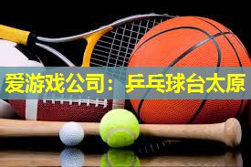 乒乓球台太原 乒乓球台太原