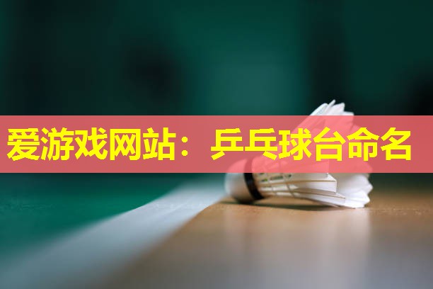 乒乓球台命名 乒乓球台命名