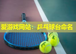 乒乓球台命名 乒乓球台命名