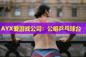 公明乒乓球台 公明乒乓球台