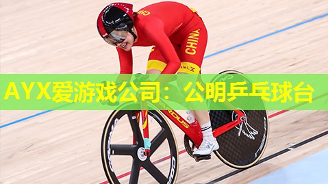 公明乒乓球台 公明乒乓球台