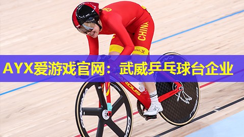 武威乒乓球台企业 武威乒乓球台企业