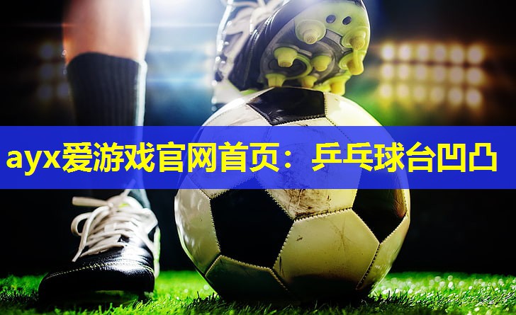 乒乓球台凹凸 乒乓球台凹凸