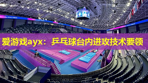 乒乓球台内进攻技术要领 乒乓球台内进攻技术要领