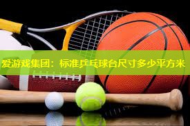 标准乒乓球台尺寸多少平方米 标准乒乓球台尺寸多少平方米