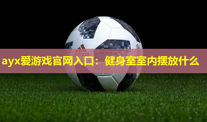 健身室室内摆放什么 健身室室内摆放什么