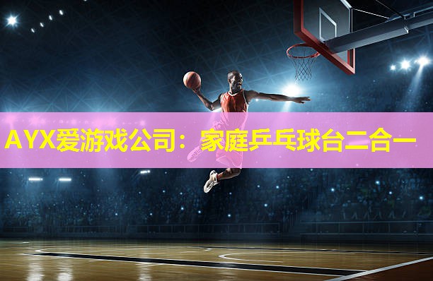 家庭乒乓球台二合一 家庭乒乓球台二合一