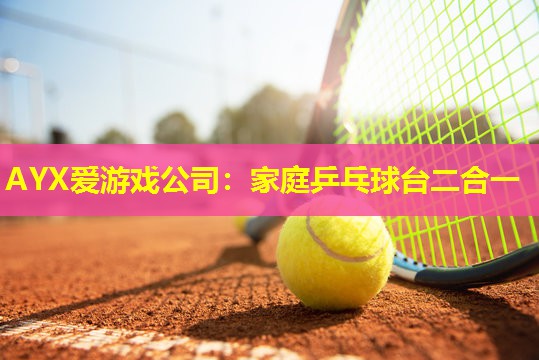 家庭乒乓球台二合一 家庭乒乓球台二合一