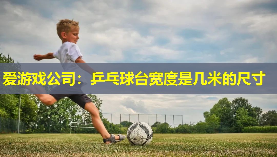 乒乓球台宽度是几米的尺寸 乒乓球台宽度是几米的尺寸