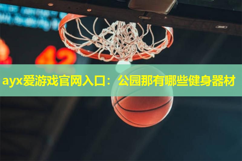 公园那有哪些健身器材 公园那有哪些健身器材