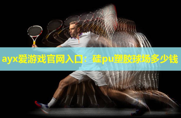 硅pu塑胶球场多少钱 硅pu塑胶球场多少钱