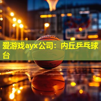 内丘乒乓球台 内丘乒乓球台