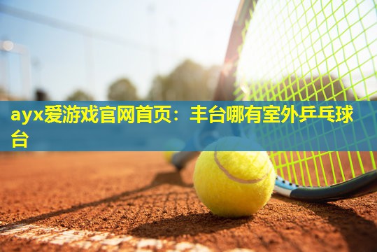 丰台哪有室外乒乓球台 丰台哪有室外乒乓球台