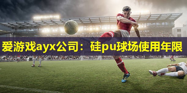 硅pu球场使用年限 硅pu球场使用年限