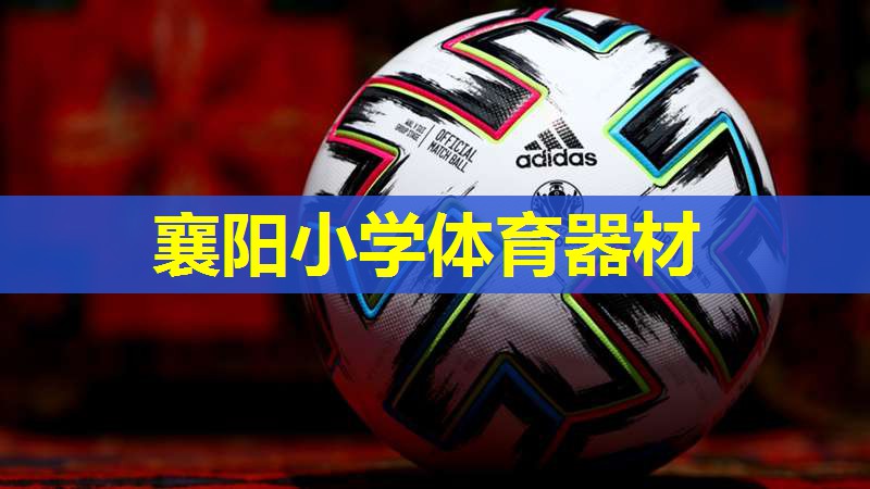 襄阳小学体育器材 襄阳小学体育器材