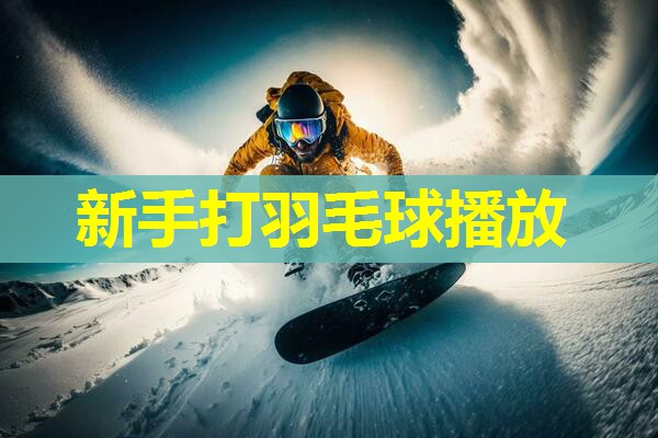 新手打羽毛球播放