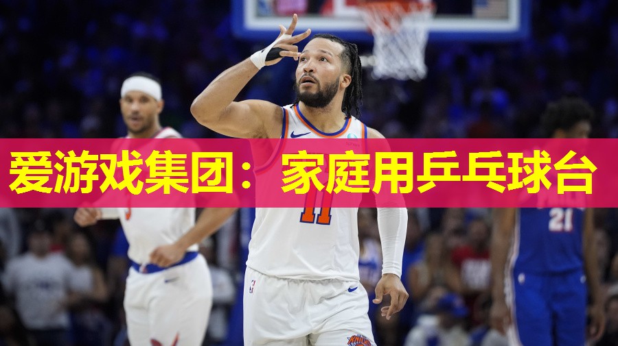 家庭用乒乓球台