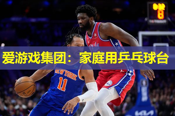 家庭用乒乓球台