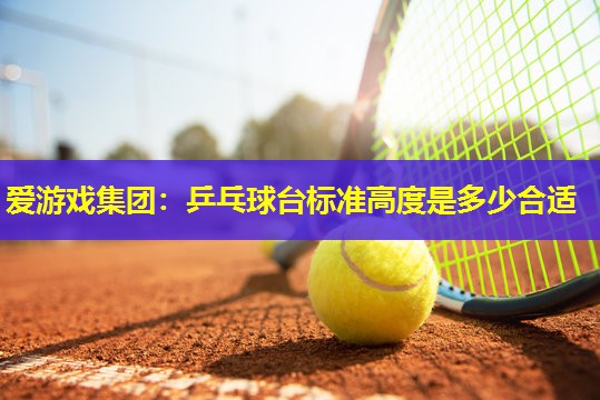 乒乓球台标准高度是多少合适 乒乓球台标准高度是多少合适