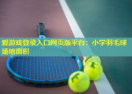 小学羽毛球场地面积 小学羽毛球场地面积