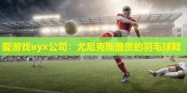 尤尼克斯最贵的羽毛球鞋 尤尼克斯最贵的羽毛球鞋