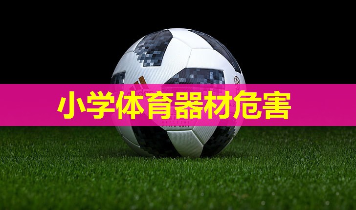 小学体育器材危害 小学体育器材危害