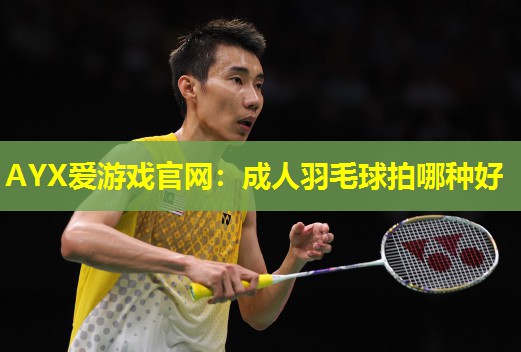 成人羽毛球拍哪种好 成人羽毛球拍哪种好