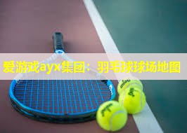 羽毛球球场地图 羽毛球球场地图
