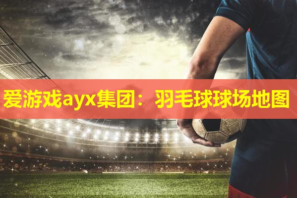 羽毛球球场地图 羽毛球球场地图
