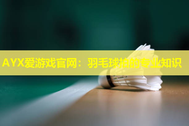 羽毛球拍的专业知识 羽毛球拍的专业知识