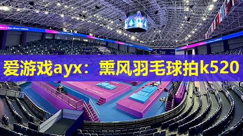 熏风羽毛球拍k520 熏风羽毛球拍k520