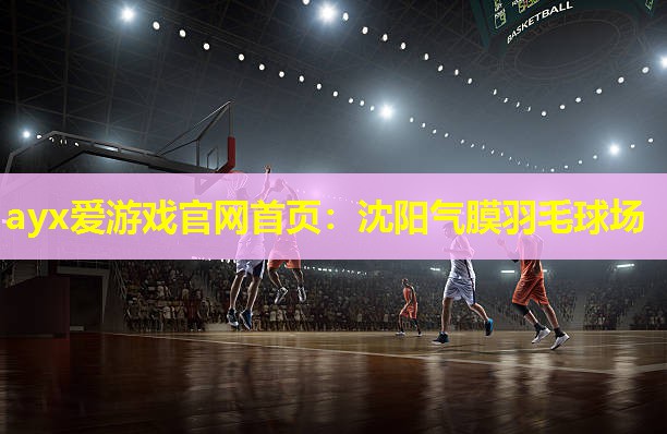 沈阳气膜羽毛球场 沈阳气膜羽毛球场