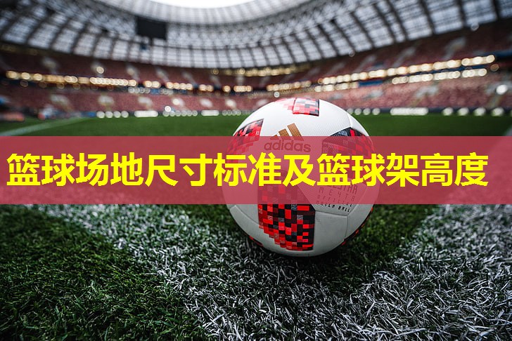 篮球场地尺寸标准及篮球架高度 篮球场地尺寸标准及篮球架高度