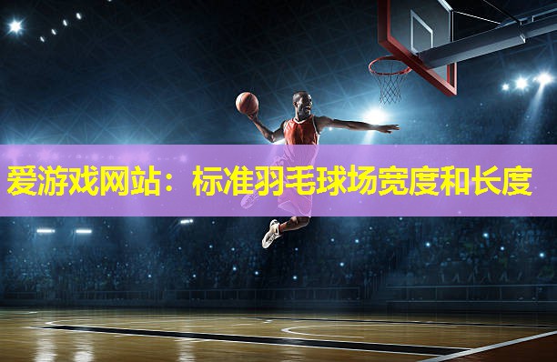 标准羽毛球场宽度和长度 标准羽毛球场宽度和长度
