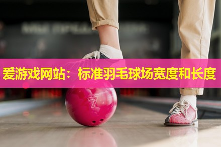 标准羽毛球场宽度和长度 标准羽毛球场宽度和长度