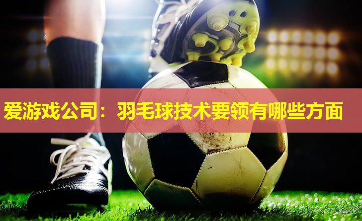 羽毛球技术要领有哪些方面