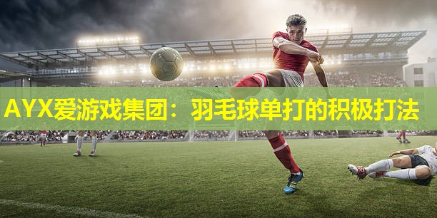 羽毛球单打的积极打法 羽毛球单打的积极打法