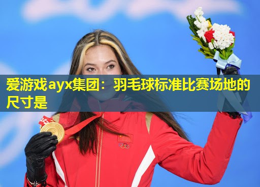 羽毛球标准比赛场地的尺寸是 羽毛球标准比赛场地的尺寸是